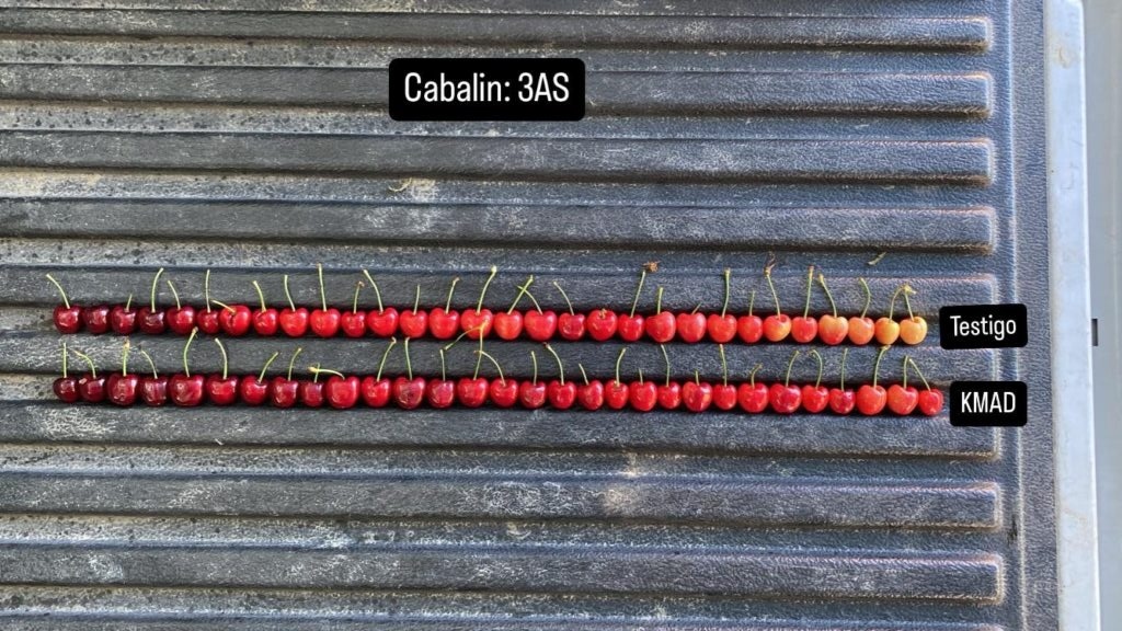 WhatsApp-Image-2025-10-24-at-08.30.54-1-576x1024